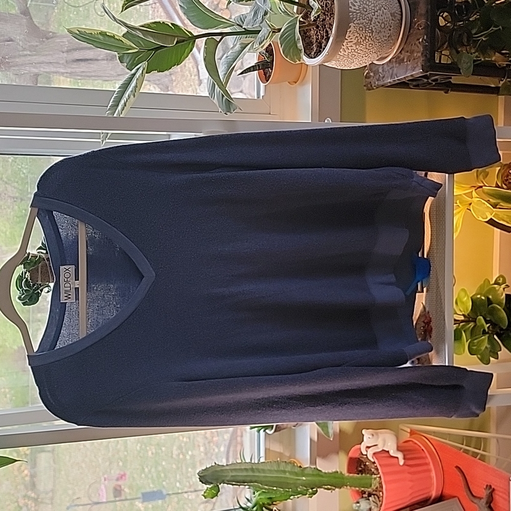 Wildfox Sweatshirt